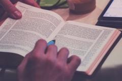 Prácticas nuevas para alumnos de FP en Extremadura