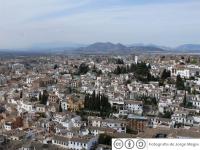 III Campeonato de Formación Profesional en Granada